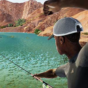 desafíos estacionales