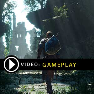Project Awakening PS4 Gameplay Video