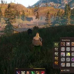 Project Gorgon - Inventar