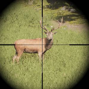 Project Hunt - Hirsch