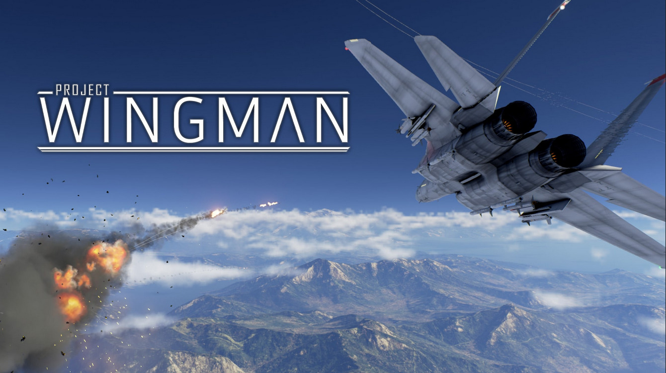 vergleichen sie die besten project wingman angebote