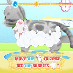 Pups and Purrs Animal Hospital Kätzchen