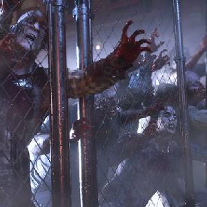 Raccoon City Edition - Zaun