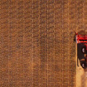 Landwirtschaftliche simulation