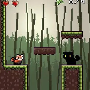 Red Panda is Hungry - Schatten