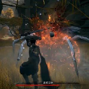 Redemption of Liuyin – Riesen-Spinne