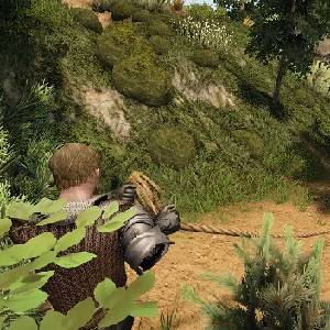 Reign Of Kings - Spieler