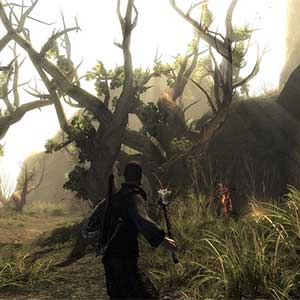 Risen 1 - Hammer-Waffe