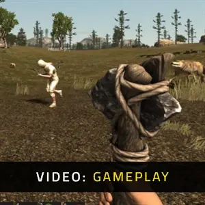 Rust - Video Gameplay