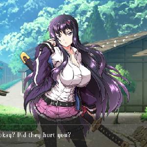 Samurai Vandalism - Mei