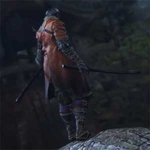 Sekiro Shadows Die Twice: Sekiro und Kuro