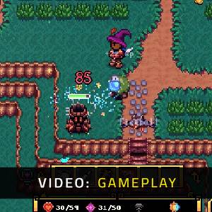 Serin Fate Gameplay Video