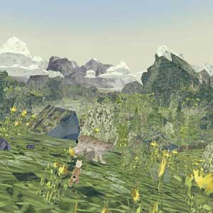 Shelter 2 Mountains Wälder