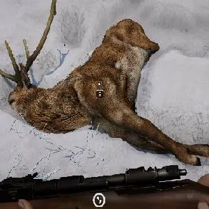 Short Snow - Rehjagd