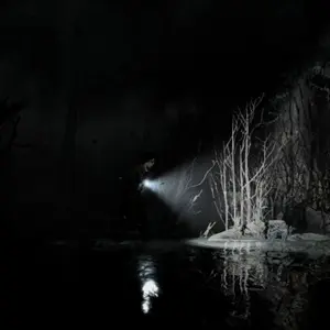 Silver Pines - See