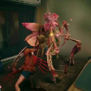 Slitterhead - Orchideenmantis