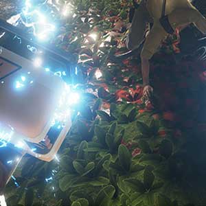 Die Regeln der Schwerkraft