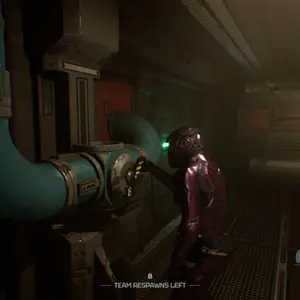 Species: Unknown - Rohrventil