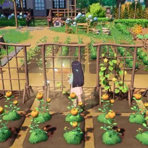 Starsand Island - Pflanzen