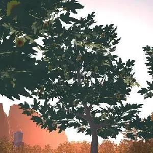 Stealth Camping Simulator - Baum