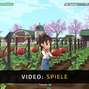 Story of Seasons A Wonderful Life - Video Spielverlauf