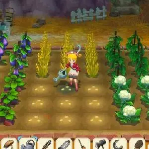 Story of Seasons: Grand Bazaar - Feldarbeit