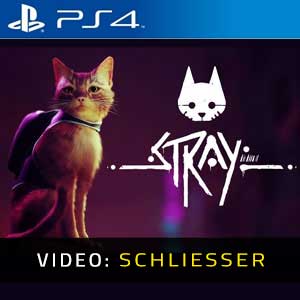 Stray PS4 Video Trailer