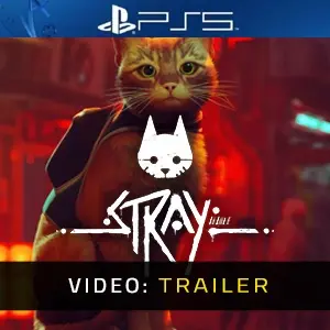 Stray PS5 Video Trailer