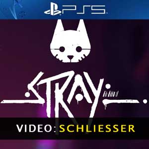Stray PS5 Video Trailer