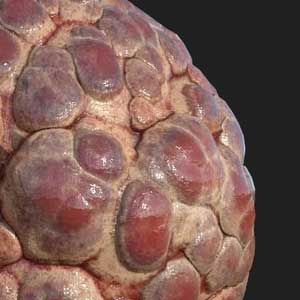 Substance Designer 2021 Textur