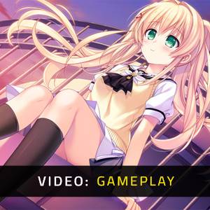 Summer Pockets Gameplay Video