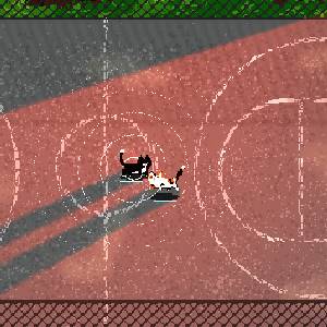 TactiCats - Basketballplatz