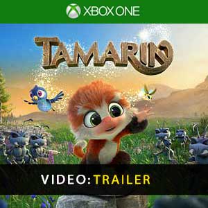 Kaufe Tamarin Xbox One Preisvergleich