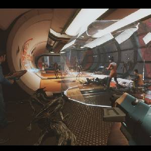 The Anacrusis Schildgranate