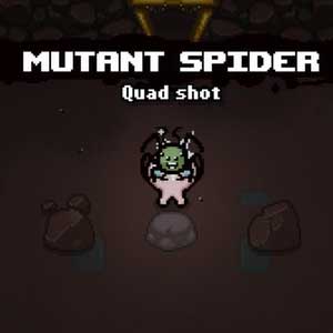 The Binding of Isaac Afterbirth Mutant Spider