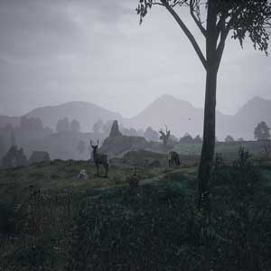 The Black Death Mittelalterliche Land