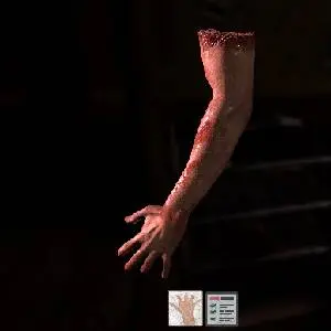 The Black Within - Menschenarm