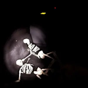 The Bunker 2025 - Skelett