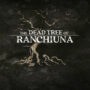 The Dead Tree of Ranchiuna: Atmosphärischer Wandersimulator jetzt auf Konsolen