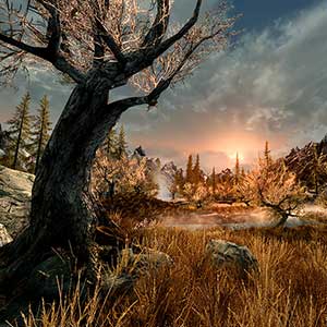 The Elder Scrolls 5 Skyrim VR - Wald