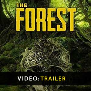 The Forest Key Kaufen Preisvergleich