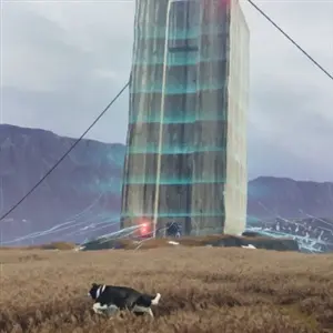 The Free Shepherd - Struktur