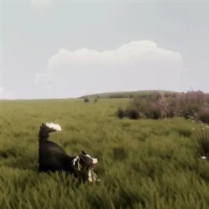 The Free Shepherd - Hund