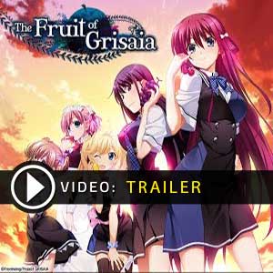 The Fruit of Grisaia Key Kaufen Preisvergleich