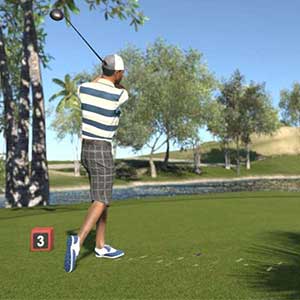 compete in tournaments