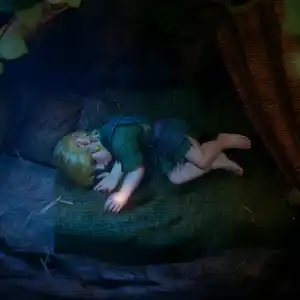 The Legend of Zelda: Ocarina of Time - Schlafend
