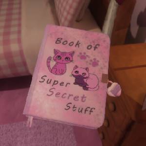 The Quiet Things - Tagebuch