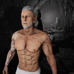 The Quinfall - Charakter Anpassen