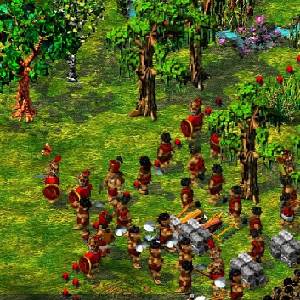 The Settlers 4 - Truppen