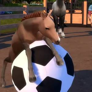The Sims 4 Horse Ranch Expansion Pack Fohlen